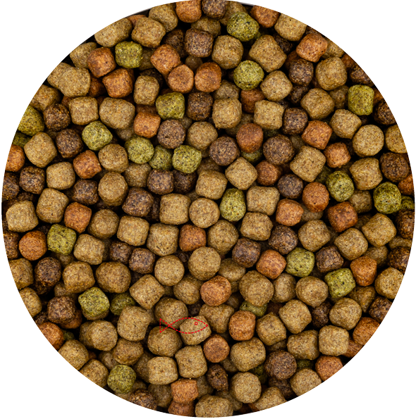 BluFeed - Premium Japan Mix - Koi - Bassin de Nourriture pour Poissons - 6mm - 2kg