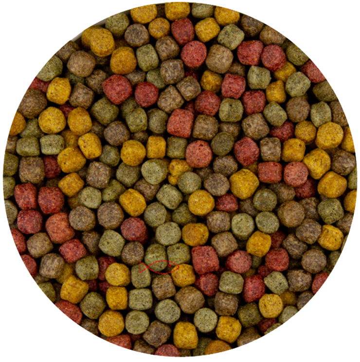 BluFeed - Bassin à Nourriture pour Poissons - Multi Mix 6mm - 6kg