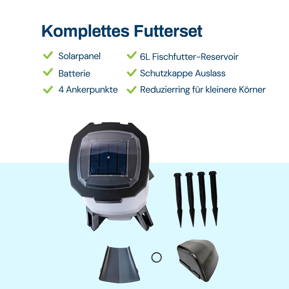BGSF-6_fr_6.jpg
