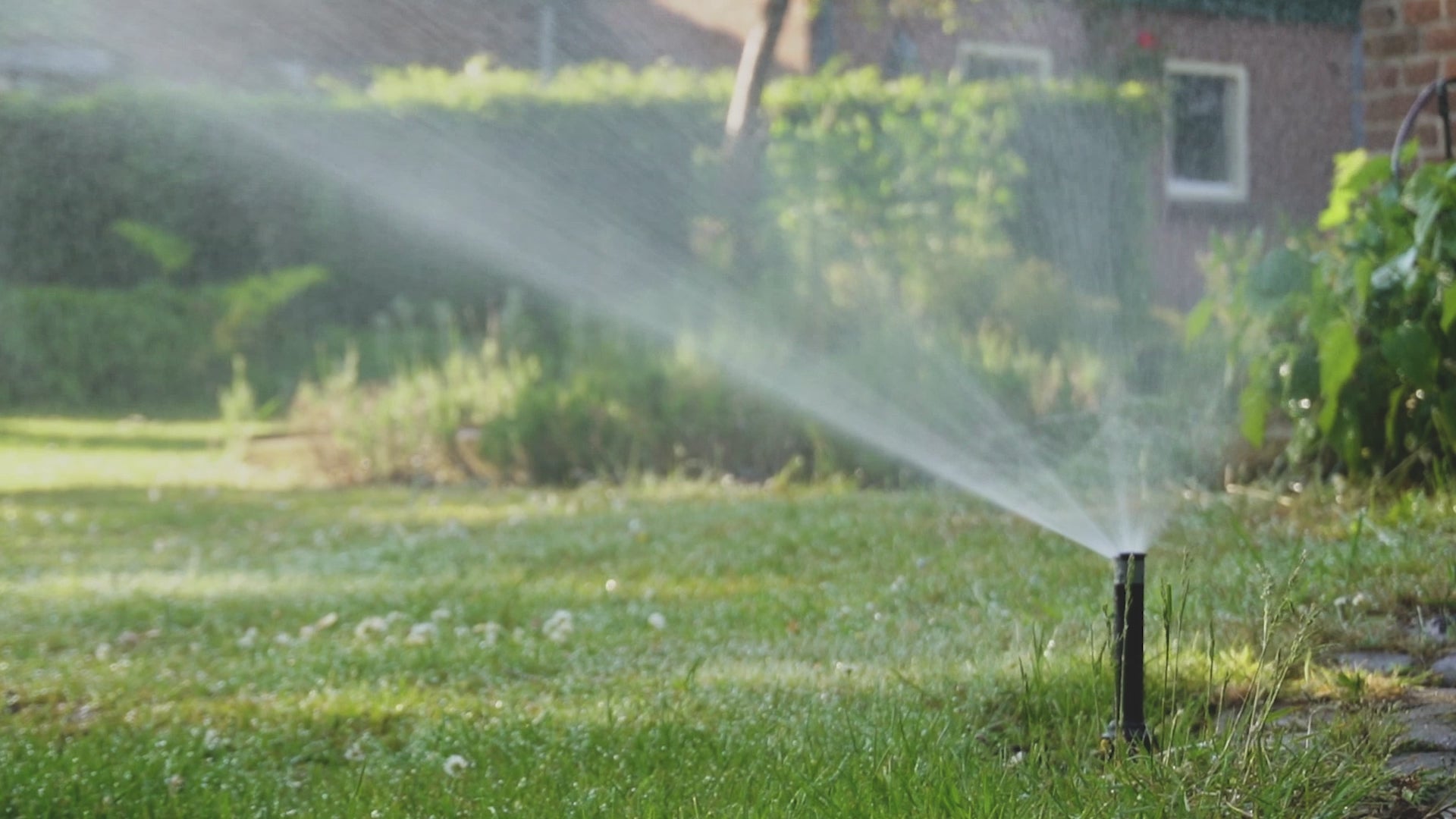Charger la vidéo : Pop up sprinkler video garden sprinklers gazon lawn