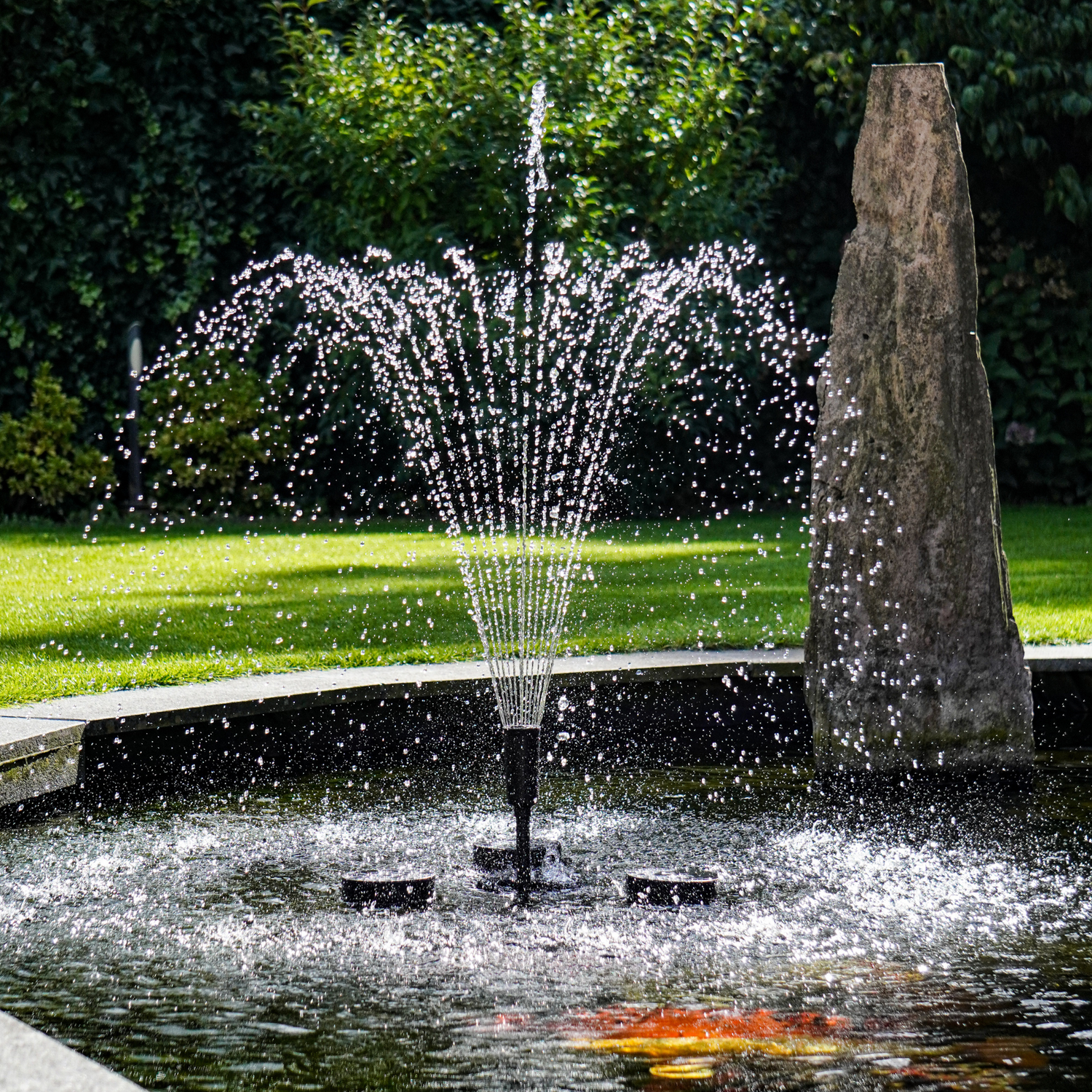 Fontaine flottante et skimmer BluSkimmer pour du mouvement et de l'oxygène dans votre bassin